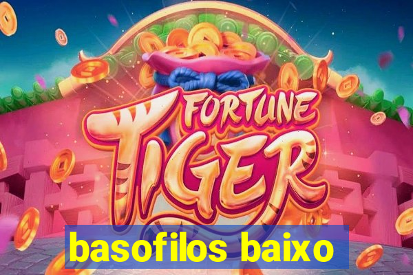 basofilos baixo